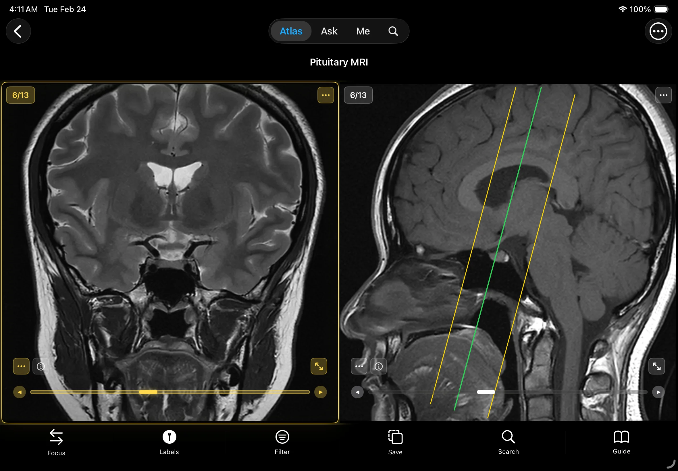 Reading Guide Background